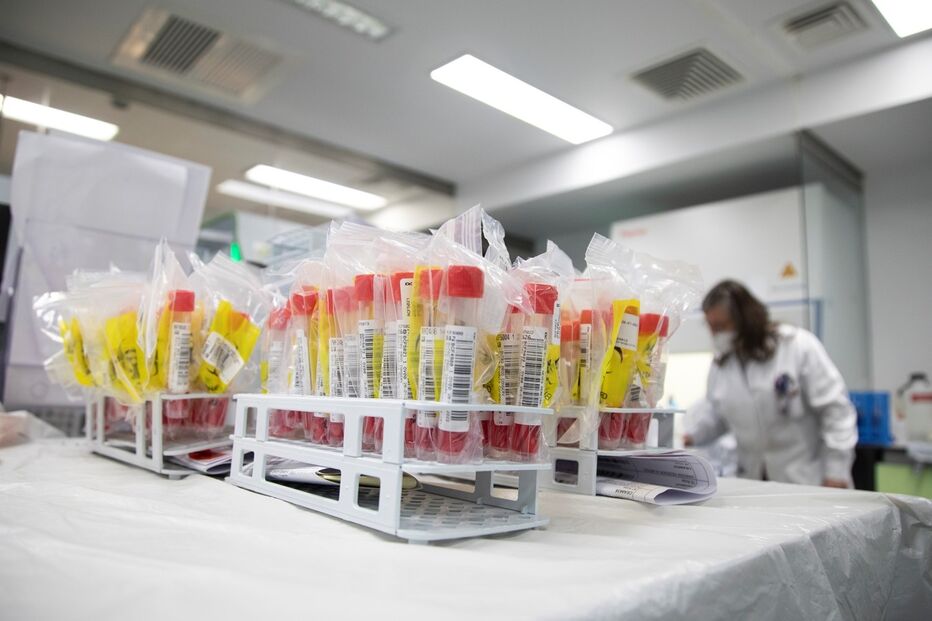 vacinas, medicamento, doença