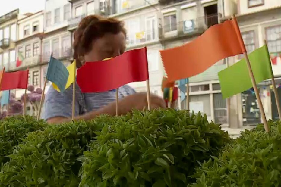 São João de volta com festa e diversões