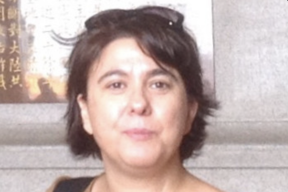 Jornalista do Público, Ana Gomes Ferreira