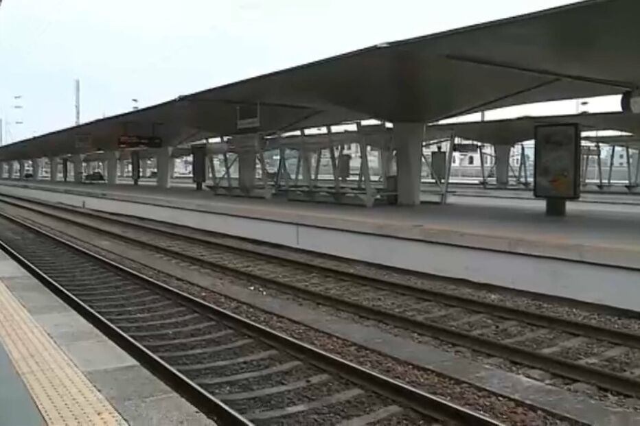 greve, comboios suprimidos, Portugal, Infraestruturas, Porto, Coimbra, IP, economia, negócios e finanças, transportes, transporte ferroviário