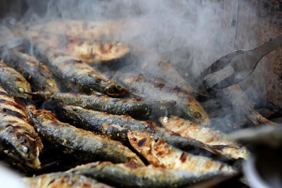 são joão, porto, festa, marteladas