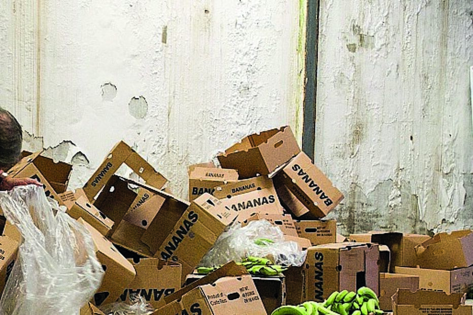 Cocaína em caixas de bananas