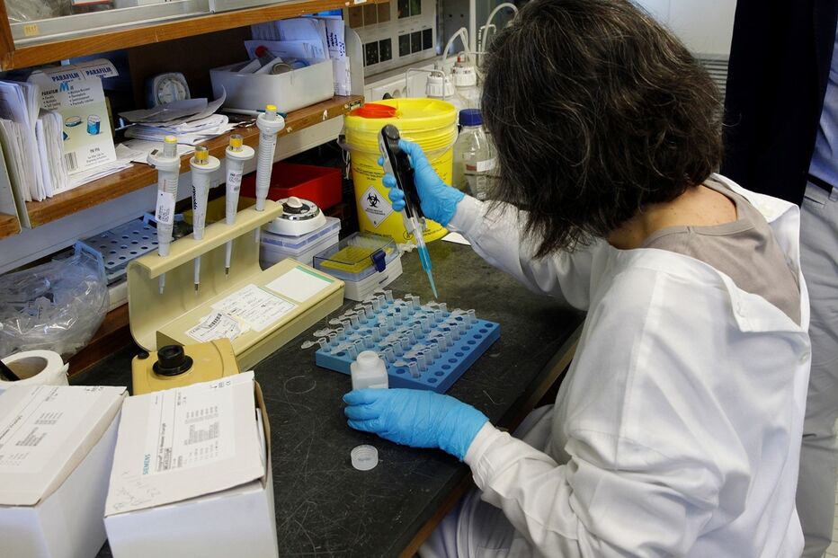 /fotospublicadas/Fotos/2-13853260 (14417403) (Milenium)