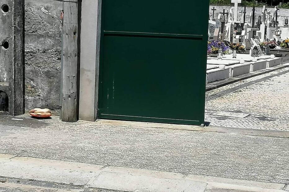 Frango junto ao portão de cemitério assusta população de Serzedo, em Vila Nova de Gaia