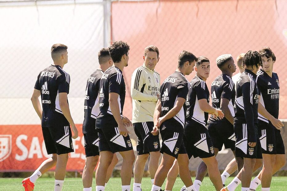 Benfica, desporto, futebol, Roger Schmidt 