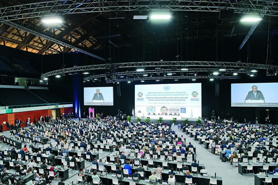 ONU, oceanos, caça ao tubarão, conferência 