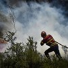 Mais de 700 bombeiros, apoiados por 223 viaturas combatem fogo em Ourém
