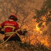 <![CDATA[ Oito meios aéreos combatem incêndio em Vila Pouca de Aguiar ]]>
