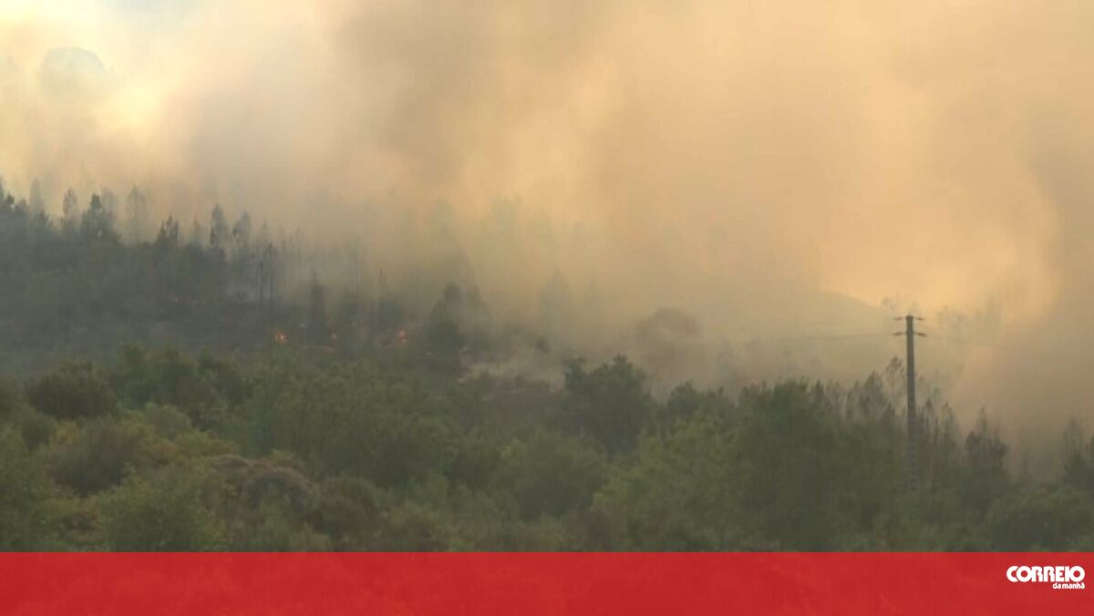 Controlled fire after the destruction of 290 hectares of forest in Mangualda