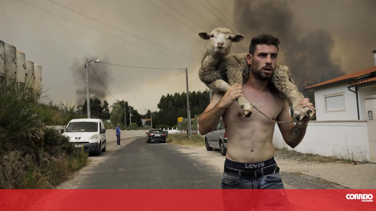 “I’m Not Worried About Photography”: The Story of Joao Paulo, the Young Man Who Saved Sheep and Became a Fireworks Icon