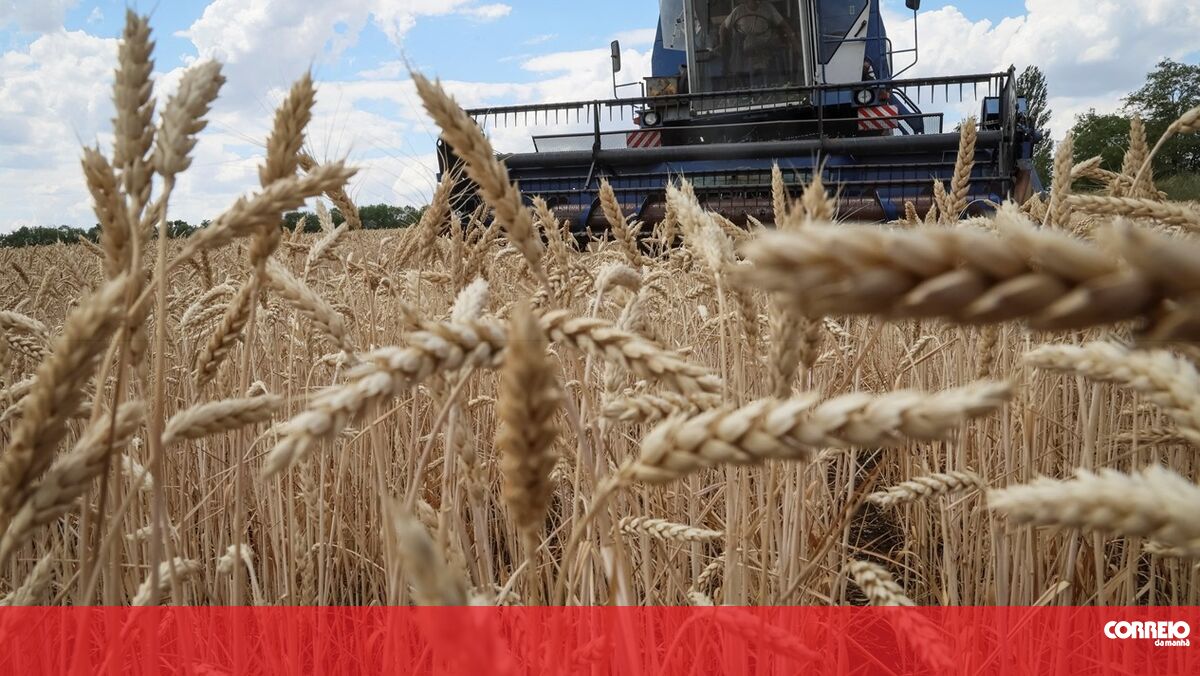 Turkey announced an agreement between Russia and Ukraine on the export of grain