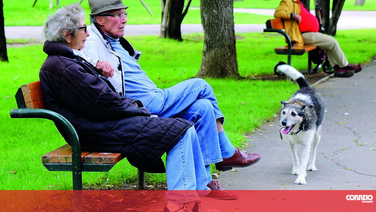 The social security reserve pays out a pension account of 23 billion euros over a year and a half, which corresponds to 11% of the annual gross domestic product.