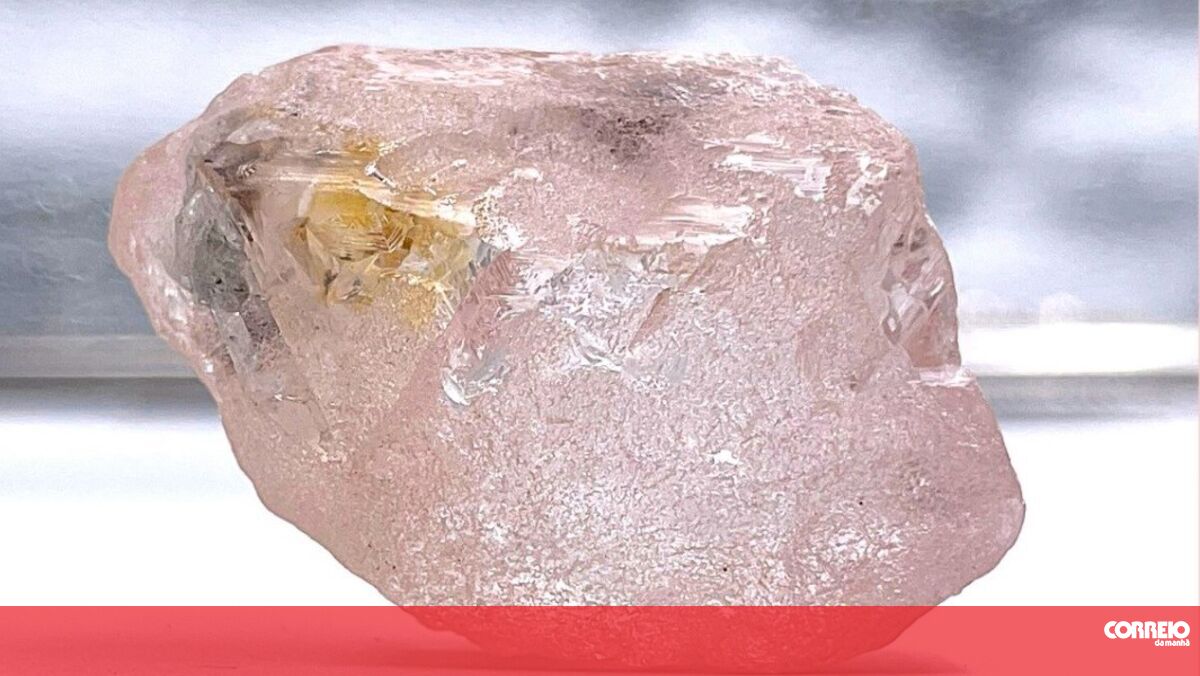 Largest diamond discovered in Angola in 300 years - 24 Hours World