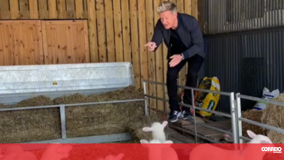 Gordon Ramsay criticized for a video where he chooses an animal for food