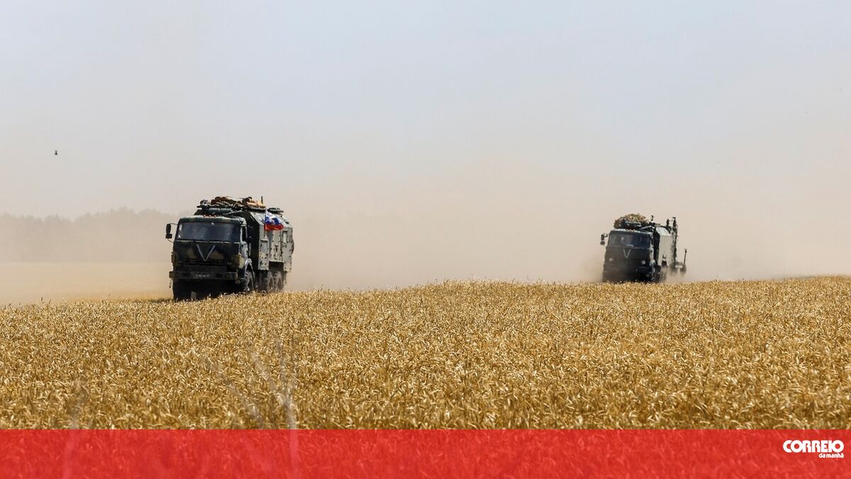 The government allocates “demanding targets” for grain self-sufficiency