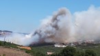 Quatro meios aéreos e mais de 170 bombeiros no combate às chamas em Sintra