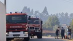Fogo no concelho de Pombal combatido por 239 operacionais e 68 viaturas