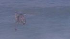 Homem resgatado de helicóptero após cair de uma falésia na praia da Ursa em Sintra