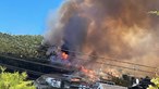 Incêndio na Póvoa de Lanhoso mobilizou mais de 70 bombeiros e um meio aéreo