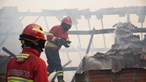 Negligência causa mais de 50% dos fogos no País