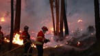 Mais calor e fogos deixam Portugal em alarme