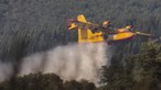 Dez acidentes e nove mortes com aeronaves em combate a incêndios em Portugal desde 2009