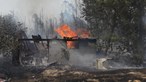 'Esta é uma situação extrema': Proteção Civil dá conta de mais de 1300 operacionais no combate às chamas