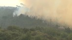 Incêndio mobiliza mais de 200 bombeiros e cinco meios aéreos em Mangualde