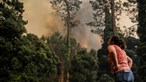 Risco máximo de incêndio em 80 concelhos do interior Norte e Centro e Norte Alentejo