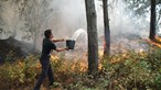 Dezasseis fogos ativos mobilizam mais de mil bombeiros às 18h00
