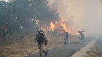 Autarca da Guarda diz que fogo em Aldeia Viçosa está 'descontrolado'