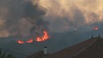Anunciadas medidas de apoio aos agricultores afetados pelo fogo de Murça