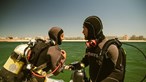 Pingo Doce promove limpeza do fundo do mar com mergulhadores certificados 