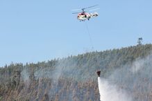 Incêndio em Figueiró dos Vinhos