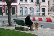 homem, cão, pensionistas