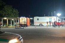 Resgatados dois cangurus das chamas em Palmela