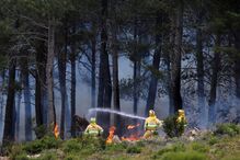 incêndio, espanha, zamora