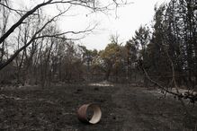 incêndio, espanha, zamora