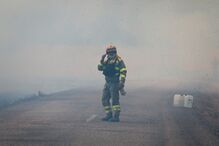 incêndio, espanha, zamora