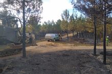 Forças Armadas reforçam combate aos fogos