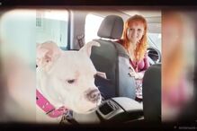 Sandra Andrade, TVDE, Olhão, Quarteira, desaparecimento 