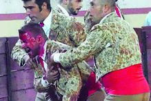 forcados, feridos, tourada