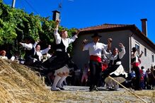 2022-07-28_14_43_59 Rota das Colheitas enviar 6.jpg