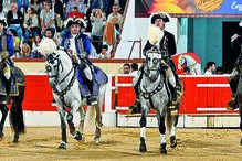 corrida no montijo, touros, tourada