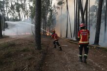 Incêndio em Ourém