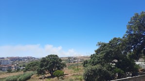 Mais de 150 bombeiros e um meio aéreo combatem incêndio em Sintra 