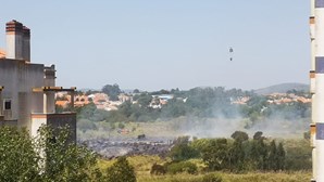 Chamas consomem mato em zona residencial em Sintra 