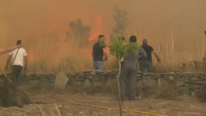 Moradores de Arrifana relatam momentos de desespero: "Estamos fartos de combater [as chamas], mas não conseguimos"