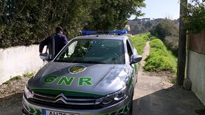 Mulher expulsa de festa morde militares da GNR e urina no carro patrulha