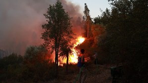 Mais de 150 bombeiros combatem chamas em Abrantes
